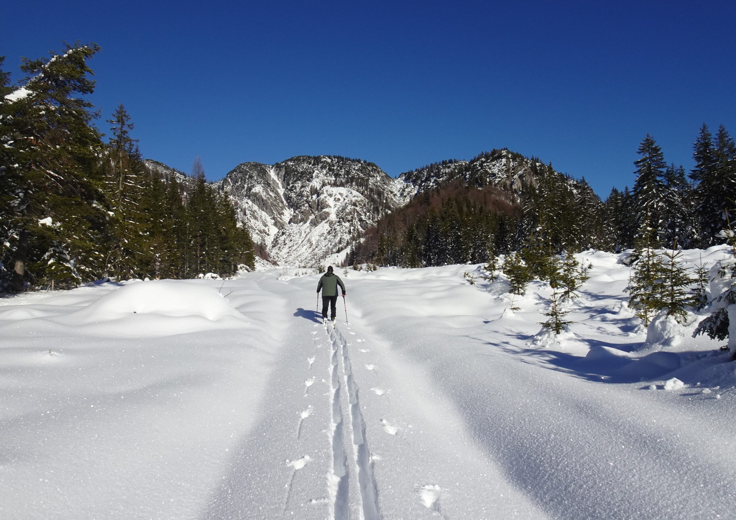 eter und Georg auf OL-Spurensuche in Hochfilzen 27.12 (6)