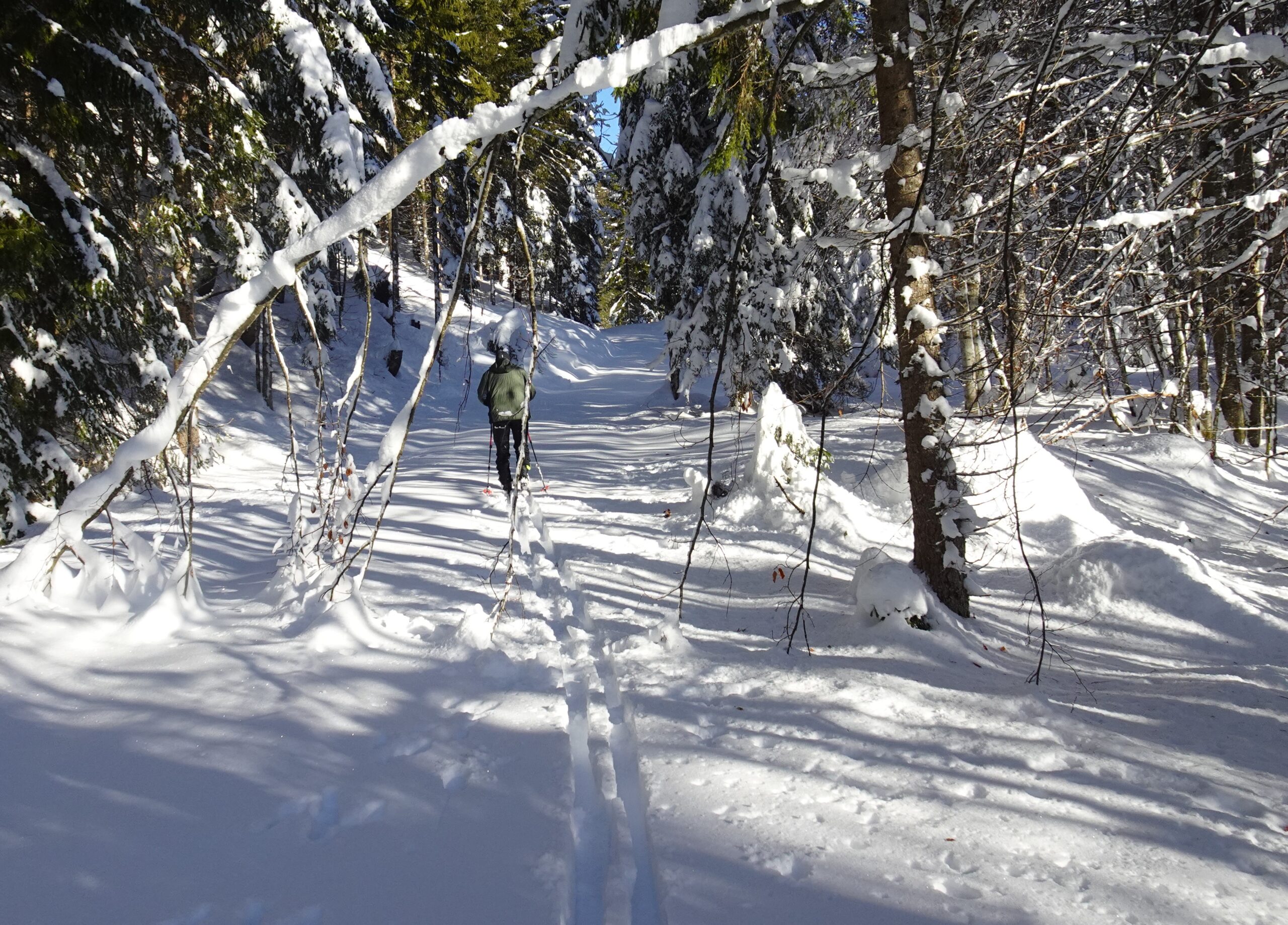 eter und Georg auf OL-Spurensuche in Hochfilzen 27.12 (6)