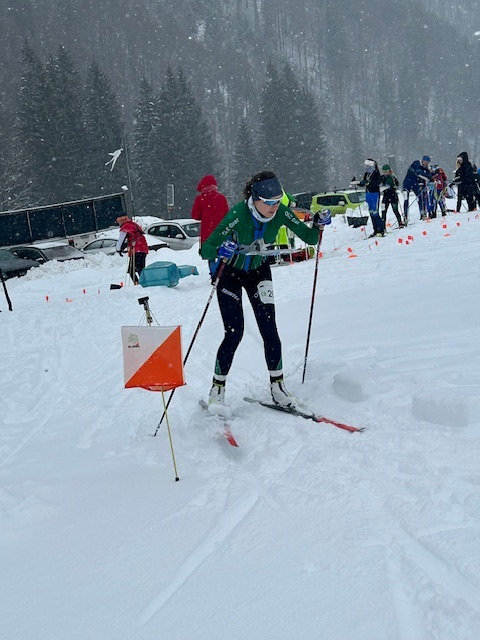 Eisenerzer Ramsau Austria Cup